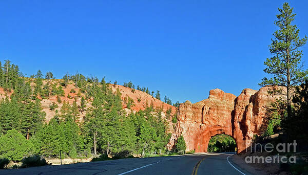 Red Canyon Arch Art Print featuring the photograph Red Canyon Arch by Amazing Action Photo Video