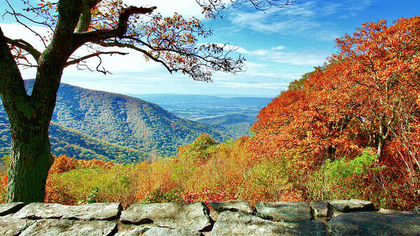 Mountain Range Art Print featuring the photograph Shenandoah Valley, Skyline Drive VA 02 by The James Roney Collection