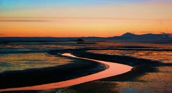  Art Print featuring the photograph Skagit Wetlands SY by Tim Dussault