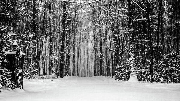 Catskills Art Print featuring the photograph Snow Storm by Louis Dallara