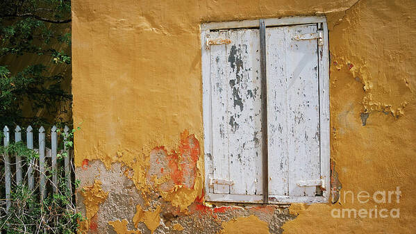 Bonaire Art Print featuring the photograph Sun Drenched by Doug Sturgess