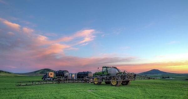 Outdoors Art Print featuring the photograph Sunset Weed Control by Doug Davidson