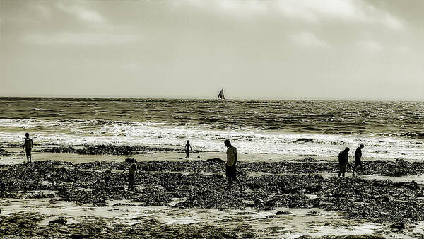 Coast Art Print featuring the photograph The Search by Christopher Maxum