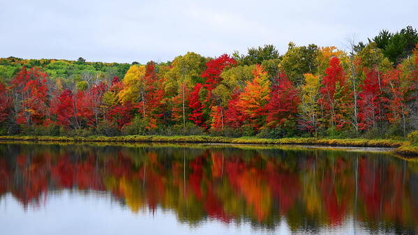 Upper Peninsula Art Print featuring the photograph UP Colors by Terry M Olson