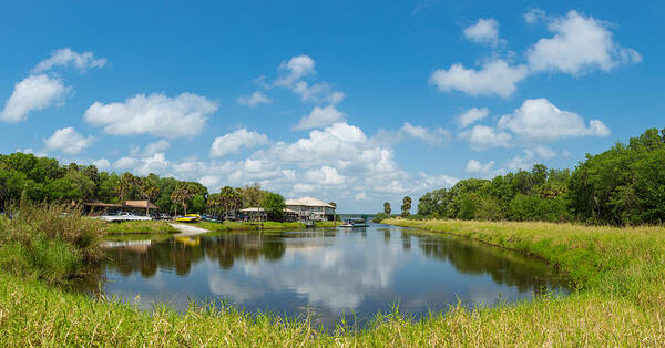 Photography Art Print featuring the photograph Concession Area In Myakka River State #1 by Panoramic Images