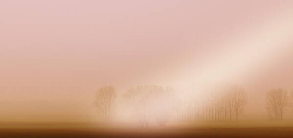 Fog Art Print featuring the photograph Foggy Morning #1 by Franziskus Pfleghart