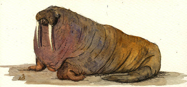 Walrus Art Print featuring the painting Walrus #1 by Juan Bosco