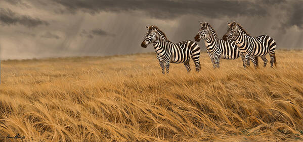 Zebra Art Print featuring the digital art Zebra Trio #2 by Aaron Blaise
