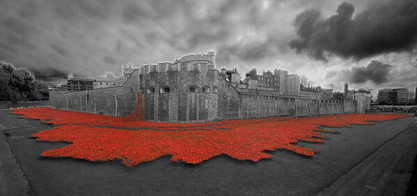 Ceramic Poppies Art Print featuring the photograph Poppies Tower of London collage #3 by David French