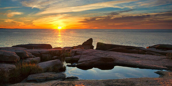 Acadia Art Print featuring the photograph Acadia Sunrise by Darylann Leonard Photography