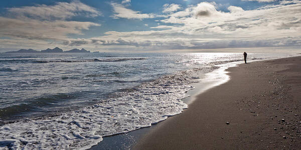 Photography Art Print featuring the photograph Bakkafjara Beach, South Coast, Iceland by Panoramic Images