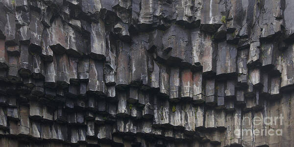 Prott Art Print featuring the photograph basaltic columns of Svartifoss Iceland by Rudi Prott