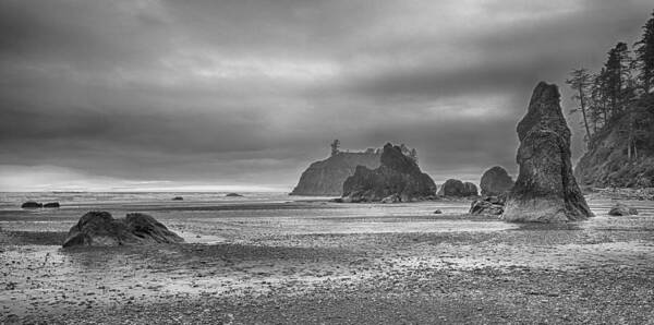 Landscape Art Print featuring the photograph Beauty in Grey by James Heckt