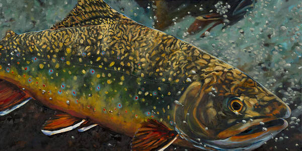 Brook Trout Art Print featuring the painting Big Brookie by Les Herman