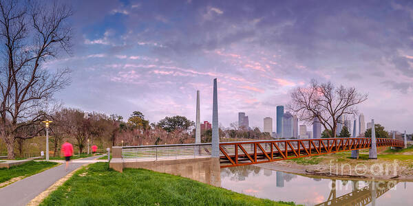 Downtown Art Print featuring the photograph City of Houston Skyline Panorama from Buffalo Bayou Park by Silvio Ligutti