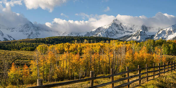 Autumn Art Print featuring the photograph Colorado Gold - Dallas Divide by Aaron Spong