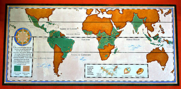 Fine Art Photography Art Print featuring the photograph Colorful World Map of Coffee by David Lee Thompson
