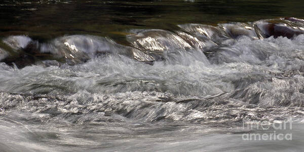 Water Art Print featuring the photograph Fast Flow by Inge Riis McDonald