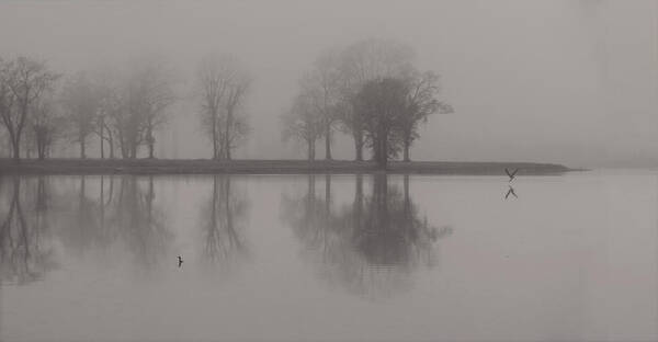 Landscape Art Print featuring the photograph Fog and Fishing Eagle by Deborah Smith