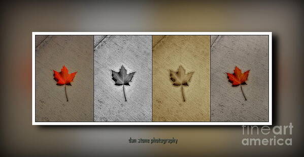 Autumn Art Print featuring the digital art Foliaquad 2 by Dan Stone