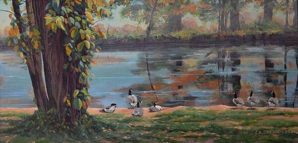 Geese Art Print featuring the painting Sunbathing Geese by Celeste Drewien