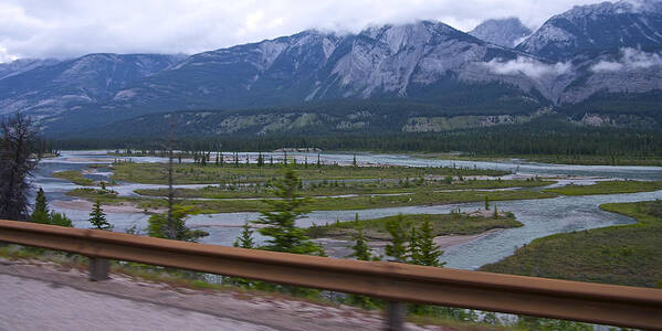 Guard Rail Art Print featuring the photograph Guarding the Wild by Travis Crockart