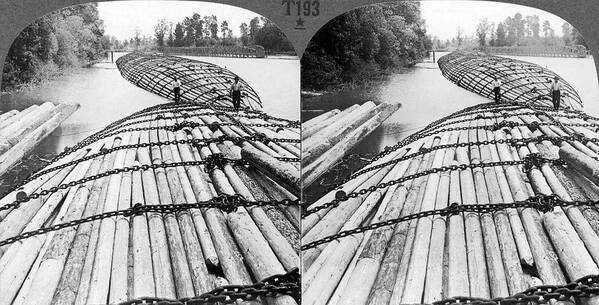 1895 Art Print featuring the photograph Log Rafts In Oregon by Underwood Archives