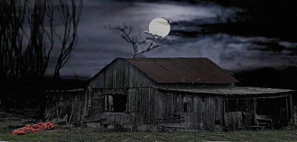 Night Art Print featuring the photograph Moonshine Nights by William Griffin