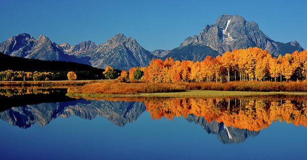 Mount Moran Art Print featuring the photograph Mt. Moran Reflection by Ed Riche