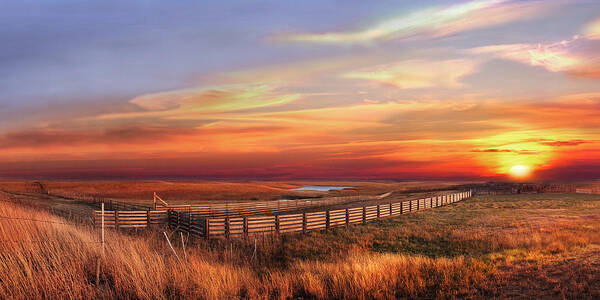 Sunset Art Print featuring the photograph November Sunset on the Cattle Pens by Rod Seel