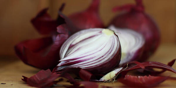 Close-up Art Print featuring the photograph Onion by Ana Lukascuk