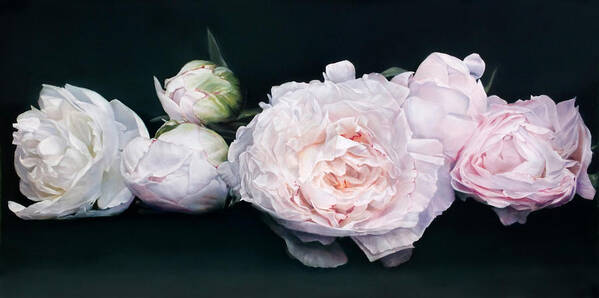 Peonies Canvas Prints Art Print featuring the painting Peonies Caprice 91 x 121cm by Thomas Darnell