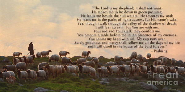 Sheep Art Print featuring the painting Sheep and the 23rd Psalm by Constance Woods