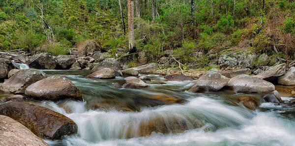 Alpine National Park Art Print featuring the photograph Rocks and Rapids by Mark Lucey