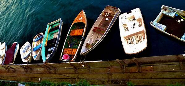 Barbara Snyder Art Print featuring the digital art Row Of Rowboats by Barbara Snyder