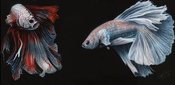 North Dakota Artist Art Print featuring the painting Siamese Fighting Fish by Wayne Pruse