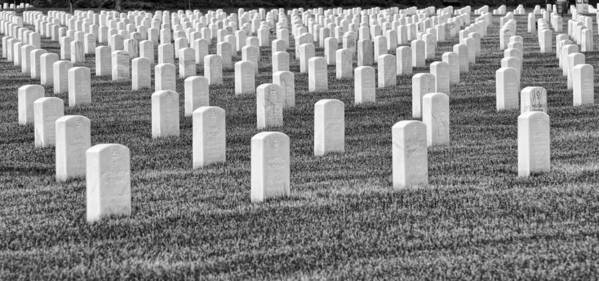 Military Cemetery Art Print featuring the photograph So Many by Cathy Kovarik