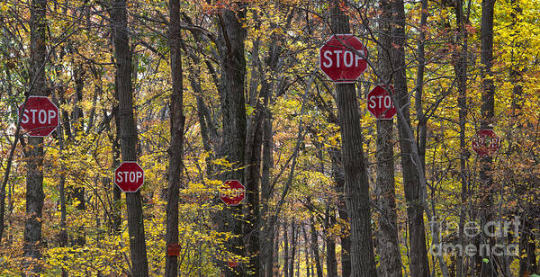 Stop Art Print featuring the photograph STOP a Subtle Suggestion to Keep Out by Jeannette Hunt