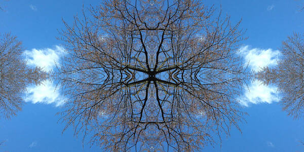 Symmetry Art Print featuring the photograph Symmetry by Cristina Stefan