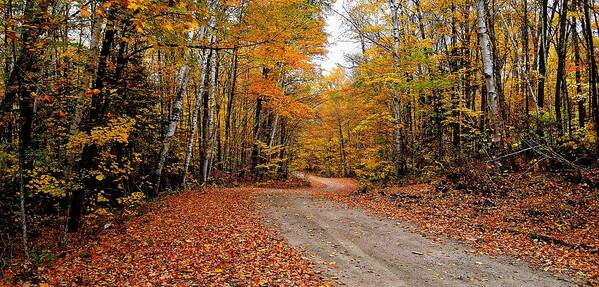 Inspirational Art Print featuring the photograph The Road We Take by Jeremy Hall