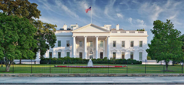 Flowerbed Art Print featuring the photograph The White House by Caroline Purser