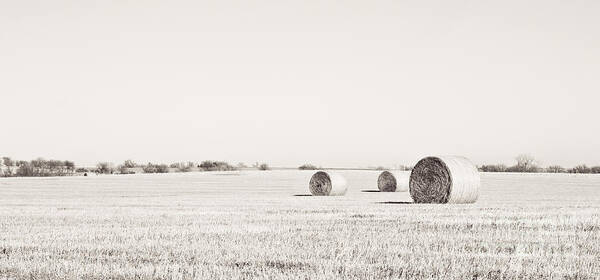 Landscape Art Print featuring the photograph Three Bales Black and White by Pam Holdsworth