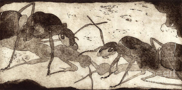 Ants Art Print featuring the painting Two ants in communication - etching by Helga Pohlen \ Urft Valley Art