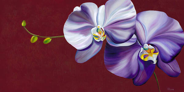 Orchid Art Print featuring the painting Violet Shadows by Kerri Meehan