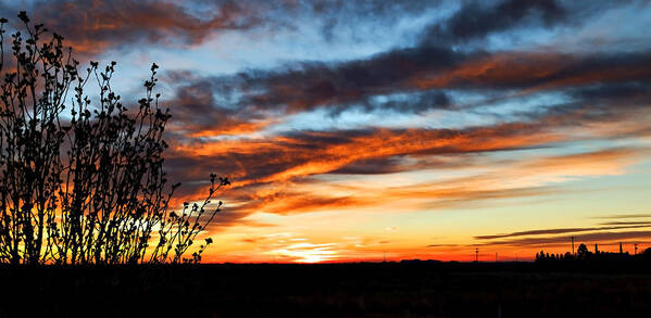 Sunrise Art Print featuring the photograph West Texas Golden Sunrise by Mark McKinney