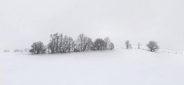 Winter Art Print featuring the photograph Winter Tree Line in Indiana by Julie Dant