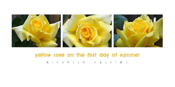 Rose Art Print featuring the photograph Yellow Rose on the First Day of Summer by Michelle Calkins