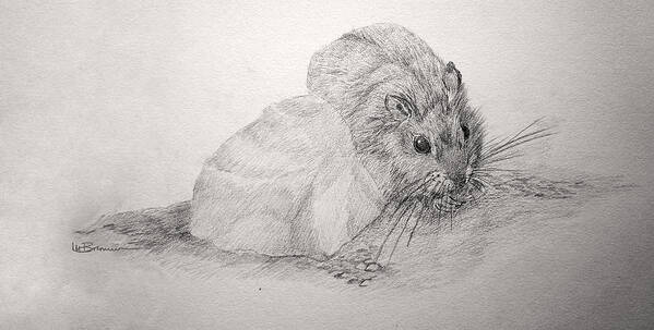 Mouse Art Print featuring the drawing A Bitty Thing by Leslie M Browning
