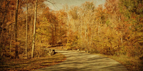 Bernheim Arboretum Art Print featuring the photograph Autumn Drive by Sandy Keeton