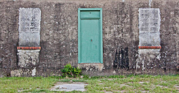 Door Art Print featuring the photograph Door and Windows by Kelley Nelson